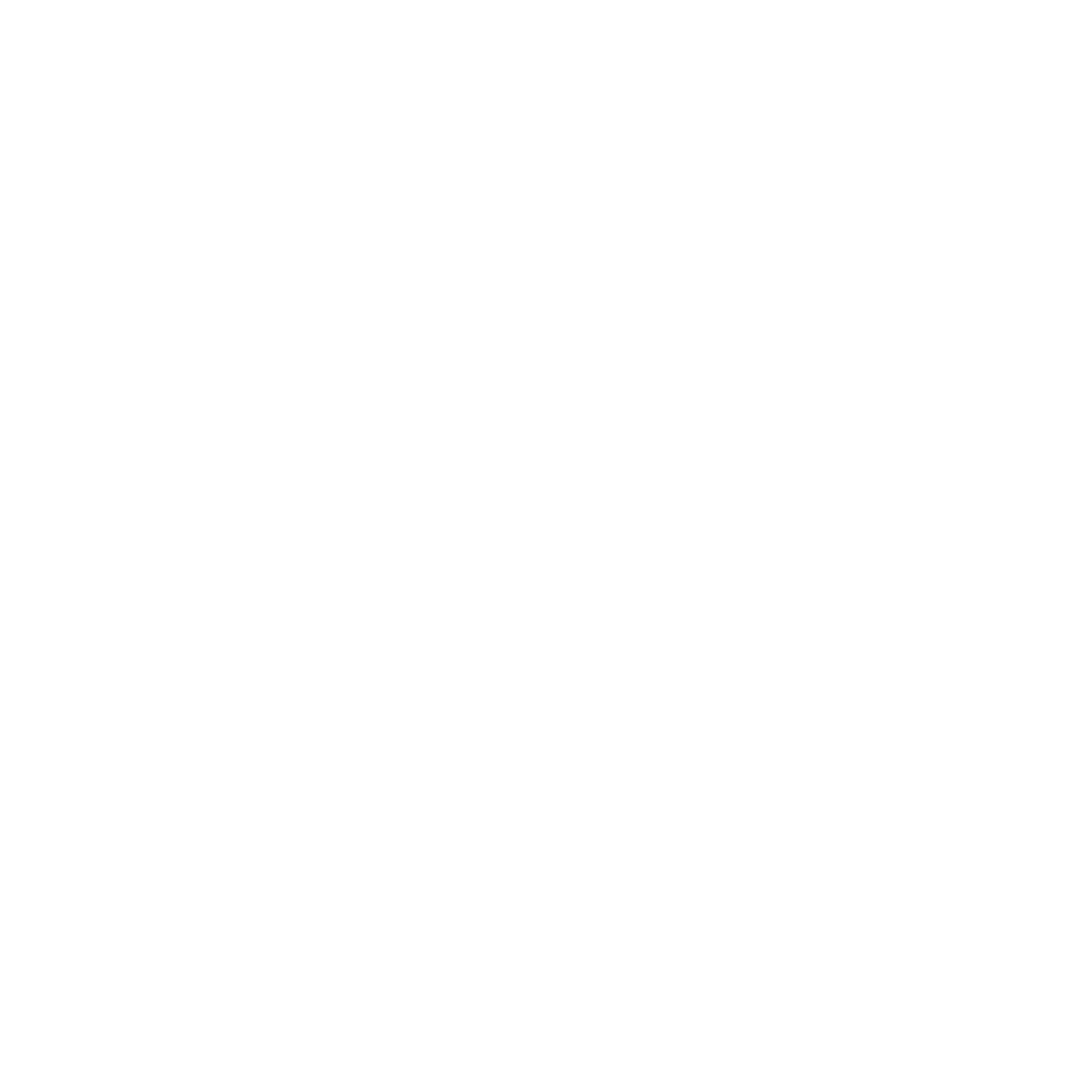 Favish Interiors